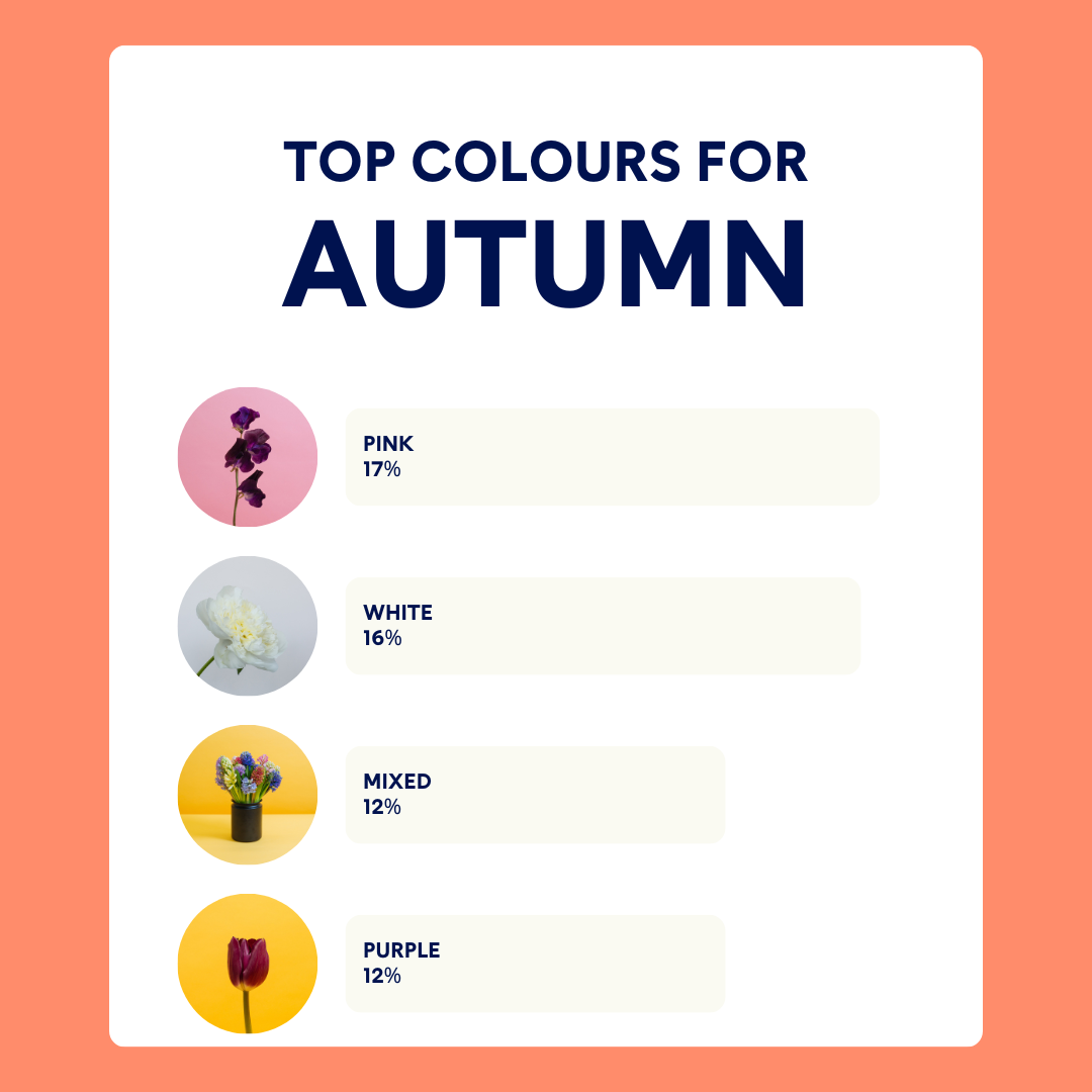 Spring insights  .png