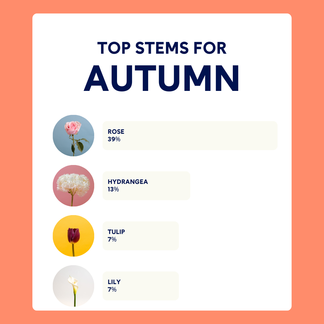 Spring insights   (1).png