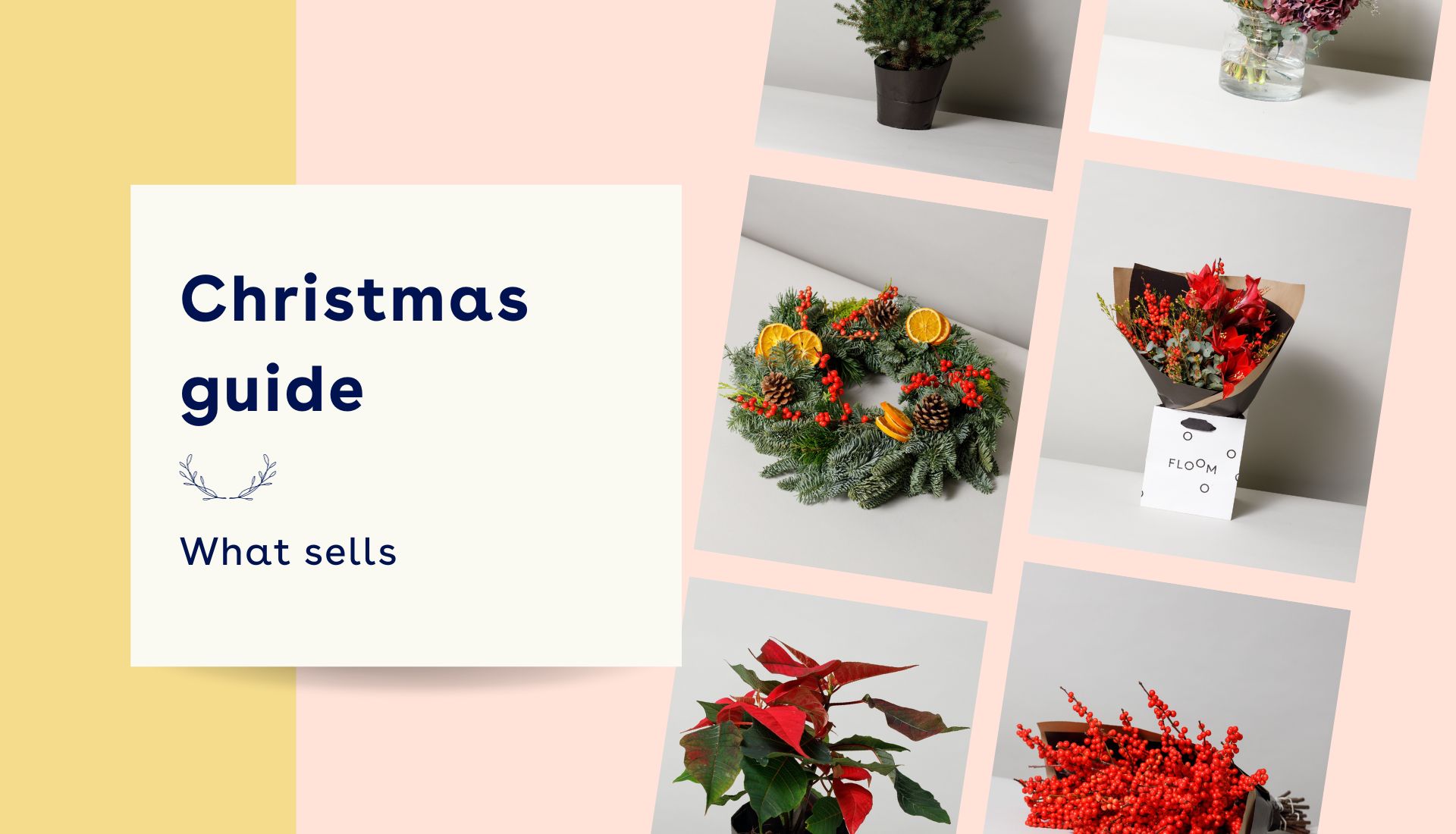 Floomx hero (41).jpg