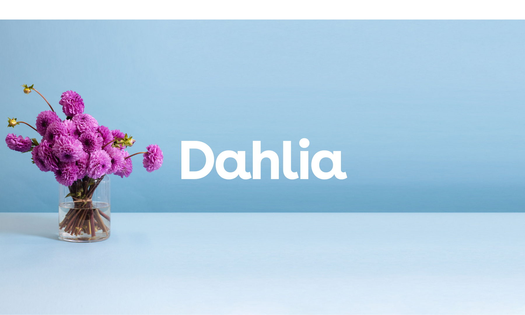 Dahlia.png