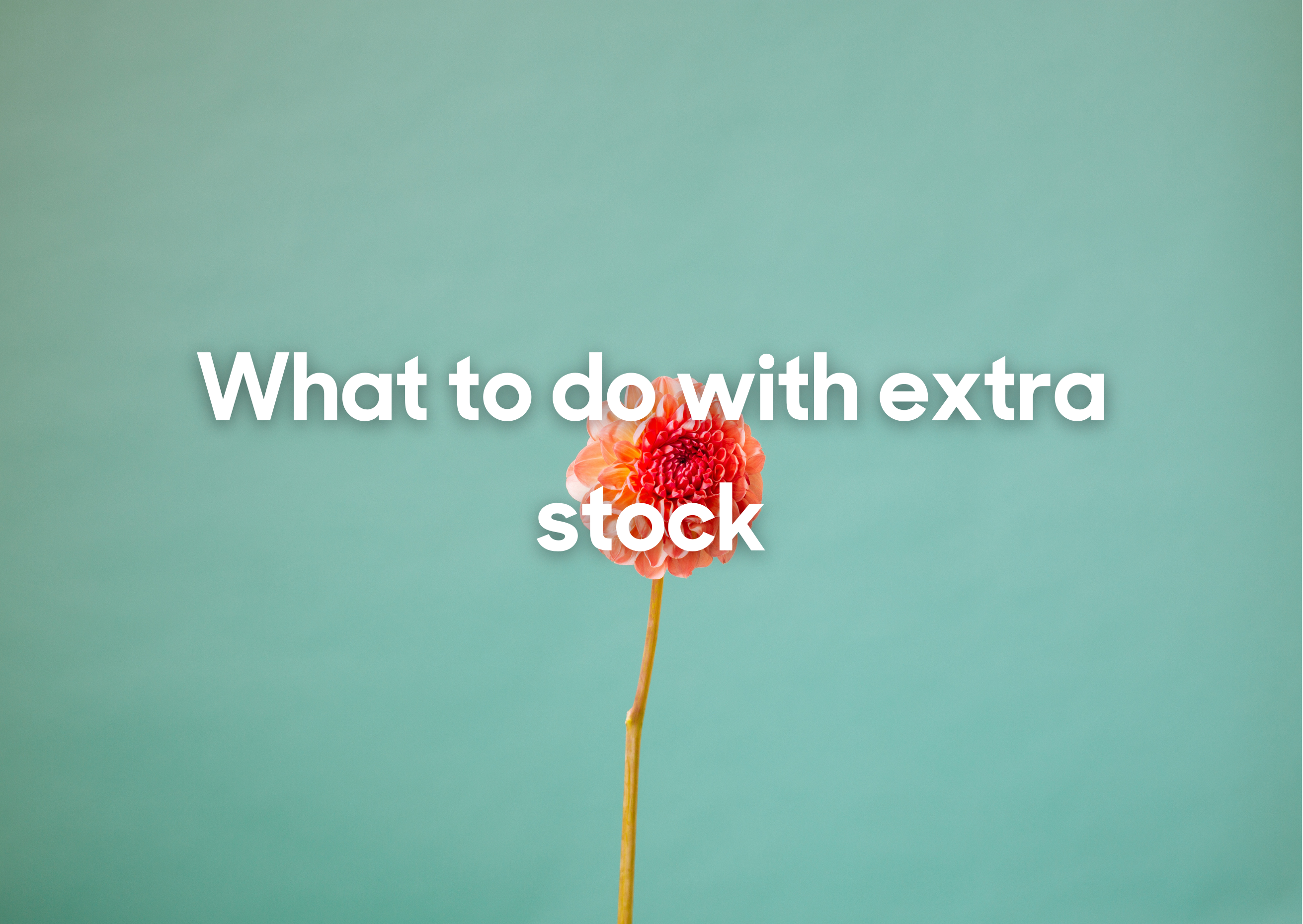 What_to_do_with_extra_stock.png